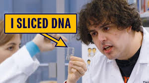 What is DNA Sequencing?