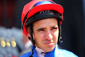 Michael Rodd Horse Jockey Profile