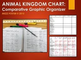 Animal Kingdom Chart Worksheet Graphic Organizer Interactive Notebook