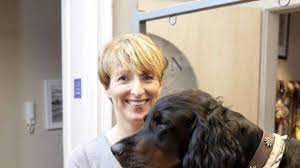 Oktober mit dem welthundetag zu feiern. Alles Fur Den Hund Wiesbaden