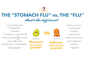 Check spelling or type a new query. Stomach Flu Symptoms Dehydration And Remedies Pedialyte