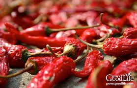 The peppers are dried completely when brittle. 3 Ways To Dry Peppers For Food Storage