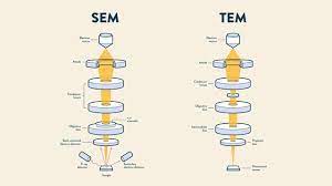 Seo and sem are two intertwined ideas used to increase site traffic and promote brands. Sem Vs Tem Technology Networks