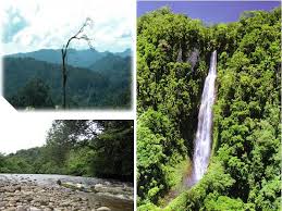 Home pulau (island) lakei, kuching sarawak travel guide taman negara bako kuching sarawak malaysia travel. Laman Web Rasmi Pejabat Pentadbiran Bahagian Miri