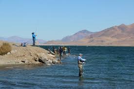 Maybe you would like to learn more about one of these? Fishing Pyramid Lake Nevada