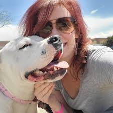 Pitbull with resting b face, not a cuddler