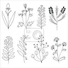 We did not find results for: Blumen Set Hand Gezeichneten Blumen Auf Weissem Hintergrund Fototapete Fototapeten Schone Herbarium Lorbeer Myloview De
