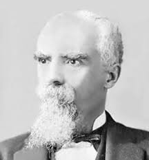 Robert McAnally Adams (@curatorcqod) • Instagram photos and videos