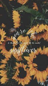 Afbeelding Ontdekt Door Surejan098 Ontdek En Bewaar Je Eigen Afbeeldingen En Video S Op W Sunflower Iphone Wallpaper Post Malone Wallpaper Flower Wallpaper