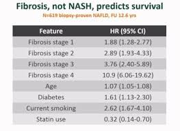 Research Update Long Term Study On Diet And Liver Health