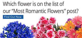Meaning, if the first date goes well, perhaps the better time to spend hard earned cash on flowers or candy is on the 2nd date. How To Find The Best First Date Flower Tips Suggestions