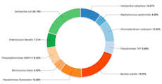 A Static Reusable Donut Chart For D3 Js V4 Bl Ocks Org