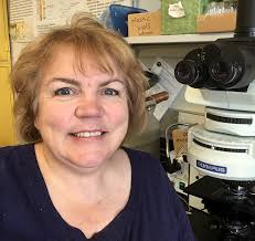 Lian-Shin Lin Lian-Shin Lin