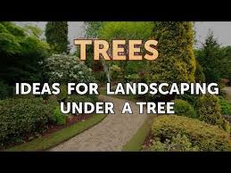 Because the ground beneath trees also often becomes muddy, planting flowering plants under trees is also a great way to spruce up an otherwise ugly blemish on your lawn. Ideas For Landscaping Under A Tree Youtube
