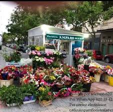 Floristeria Amparo