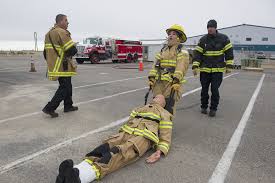 Just scratching the surface, unearthing surprises