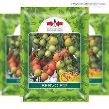 Ikuti instruksi pada pengering makanan anda dan periksa kondisi tomatnya secara berkala untuk memastikan tomatnya tidak menciut sampai terlalu. Servo F1