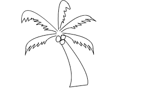 When i see a palm tree, i think of vacations, beaches, and relaxing. How To Draw A Coconut Tree Step By Step Coconut Tree Drawing For Kids