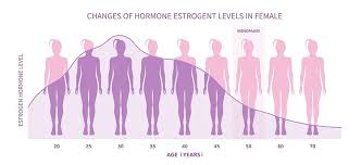 Image result for Estrogen Replacement