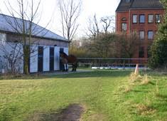 Unser beratungsteam hilft ihnen kostenfrei und unverbindlich unter der telefonnummer: Www Neukirchener De Kinder Und Jugendhilfe Stationar Haus Elim Methoden Reiten