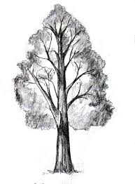We did not find results for: How To Draw A Tree Happy Family Art