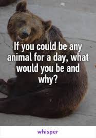 Check spelling or type a new query. If You Could Be Any Animal For A Day What Would You Be And Why Interactive Facebook Posts Facebook Engagement Facebook Engagement Posts