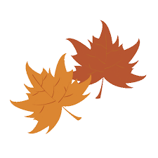 To created add 11 pieces, transparent falling leaves transparent images of your project files with the background cleaned. Maple Leaf Fall Sticker For Ios Android Giphy