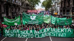 Pese a la histórica votación en el congreso, la victoria es sólo un paso del proceso. Que Revela El Debate Sobre El Aborto Legal En Argentina Global Voices En Espanol