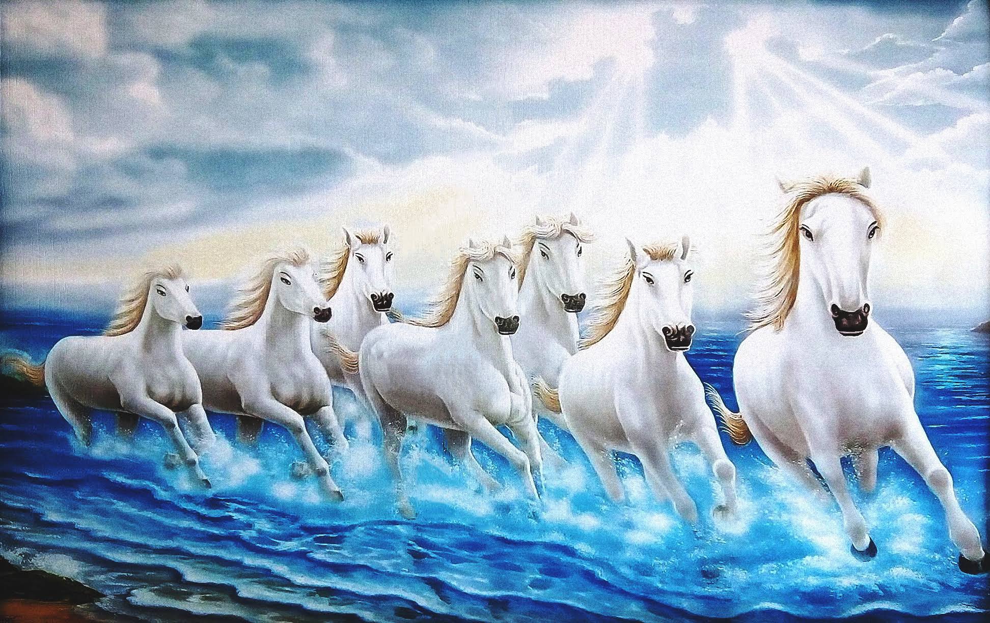 7 Horse product image