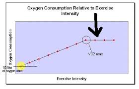 Vo2 Max Physicalrules Com