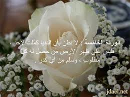 الورود العشرة للدكتور عائض القرني باقة الورد واجمل الكلام بالصور rose flowers plants