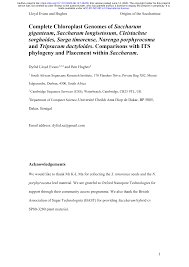 Image result for Cleistachne sorghoides