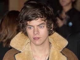 But you could just do some tight curls with a curling iron or curlers. One Direction S Curly Cutie Harry Styles My Hair Went Straight Once Celebsnow