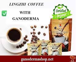 Lingzhi Coffee With Ganoderma Organic And Healthy Coffee Instant Coffee Ganoderma