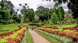 Check spelling or type a new query. Peradeniya Botanical Gardens Kandy Andbeyond