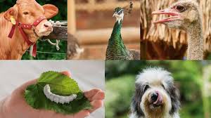 Somos el primer parque temático agropecuario del mundo y. Nbmj57dgyuze3m