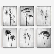 Black And White Botanical Prints Set Of 6 Black And White Botanical Photography Prints By Gallery J9 In 2020 Photography Print Floral Wall Art Prints