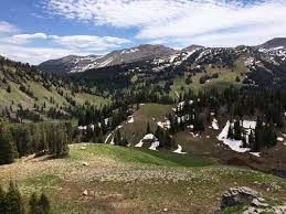 For gps, phone or google earth. Moose Creek And Moose Lake Idaho Alltrails