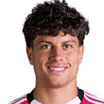 Rafael Luis stats and ratings