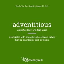 Adventitious Words Word Of The Day Cool Words Dictionary Words