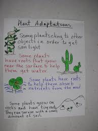 Learning Focused Classrooms Science Anchor Charts Science Education Plant Adaptations