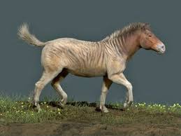Artist S Rendition Of A North American Horse Ancient Animals Prehistoric Animals Extinct Animals
