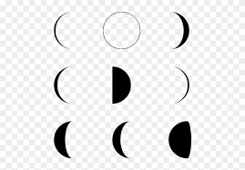 The amount of moon we see changes over the month — lunar phases — because the moon orbits earth and earth orbits the sun. Moon Phase Moon Phases Vector Free Transparent Png Clipart Images Download