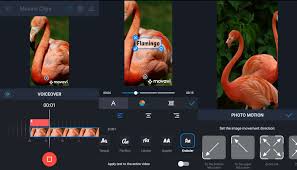 Slideshow maker can help you create a video clip that is fully composed of your content, if necessary. The 10 Best Slideshow Apps Of 2021