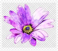 Large collections of hd transparent flower png images for free download. Purple Watercolour Flowers Png Transparent Png Vhv