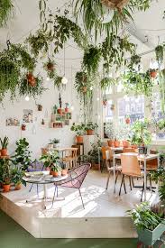 Wildernis Boutique De Plantes Urbaines Jardin Interieur Deco Et Deco Maison