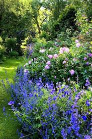 Frau und herr siebert arbeiten im garten, die geschwister paul und nelli. Faszinierende Frauen Und Ihre Garten Bucher Garten Fruhlingsgarten Cottage Garten