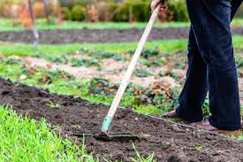 Mix and match at will. Woman Gardener Raking Soil Preparing Vegetable Garden For Planting Stock Photo Picture And Royalty Free Image Image 73333365