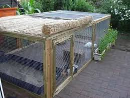 Bezugsfertig Zusammenklappbares Aussengehege Hasenstall Von Bunnyville Fotos Kaninchen Forum By Sweetrabbits Ma Rabbit Hutches Rabbit Enclosure Rabbit