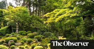 Timeless Moss Gardens Are Springing Back James Wong Moss Garden Moss Lawn Lawn Renovation